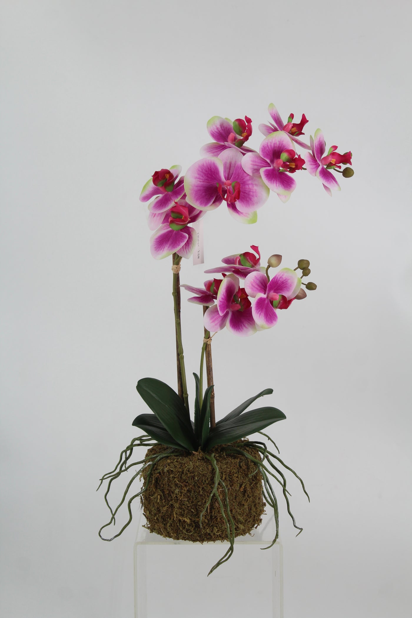 Orhidee artificiala mov cu alb si verde cu aspect natural H56 cm cu 2 tulpini