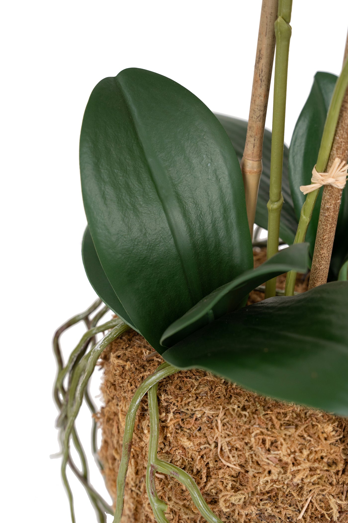 Orhidee artificiala mov cu alb si verde cu aspect natural H56 cm cu 2 tulpini