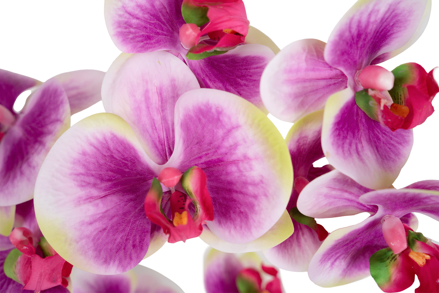 Orhidee artificiala mov cu alb si verde cu aspect natural H56 cm cu 2 tulpini