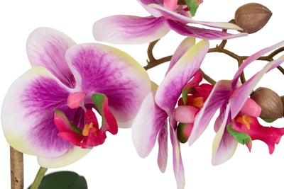 Orhidee artificiala mov cu alb si verde cu aspect natural H56 cm cu 2 tulpini