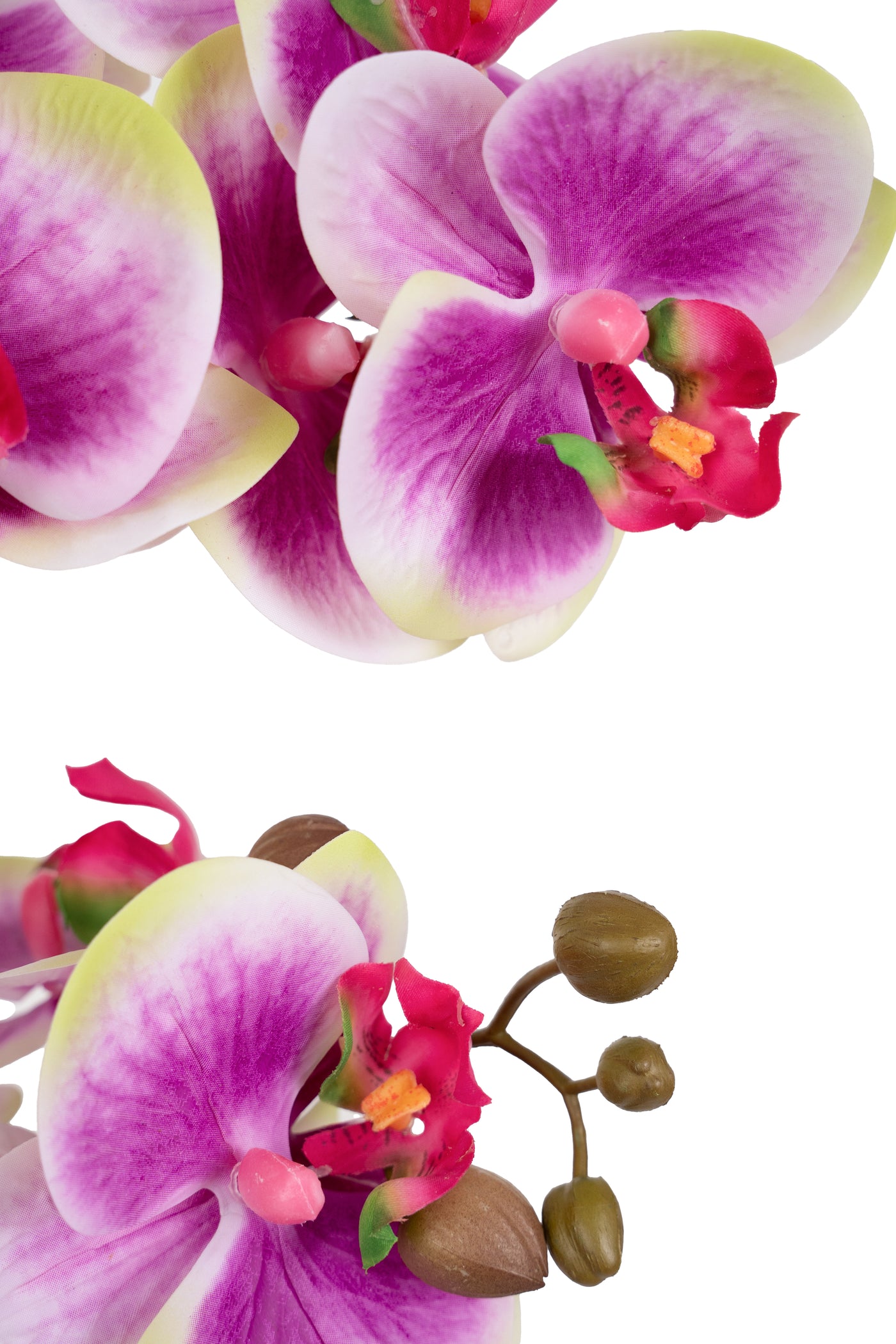 Orhidee artificiala mov cu alb si verde cu aspect natural H56 cm cu 2 tulpini