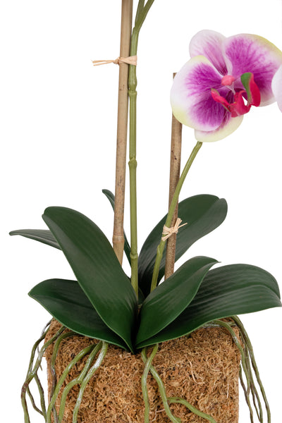 Orhidee artificiala mov cu alb si verde cu aspect natural H56 cm cu 2 tulpini