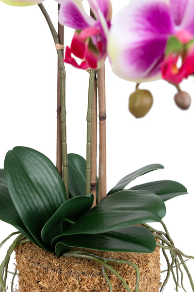 Orhidee artificiala mov cu alb si verde cu aspect natural H58 cm cu 3 tulpini