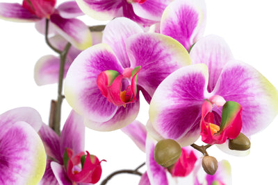 Orhidee artificiala mov cu alb si verde cu aspect natural H58 cm cu 3 tulpini