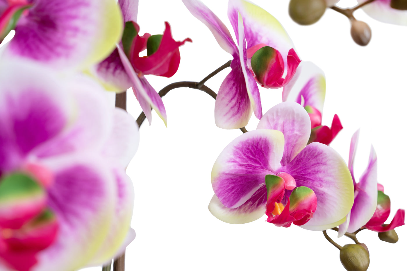 Orhidee artificiala mov cu alb si verde cu aspect natural H58 cm cu 3 tulpini