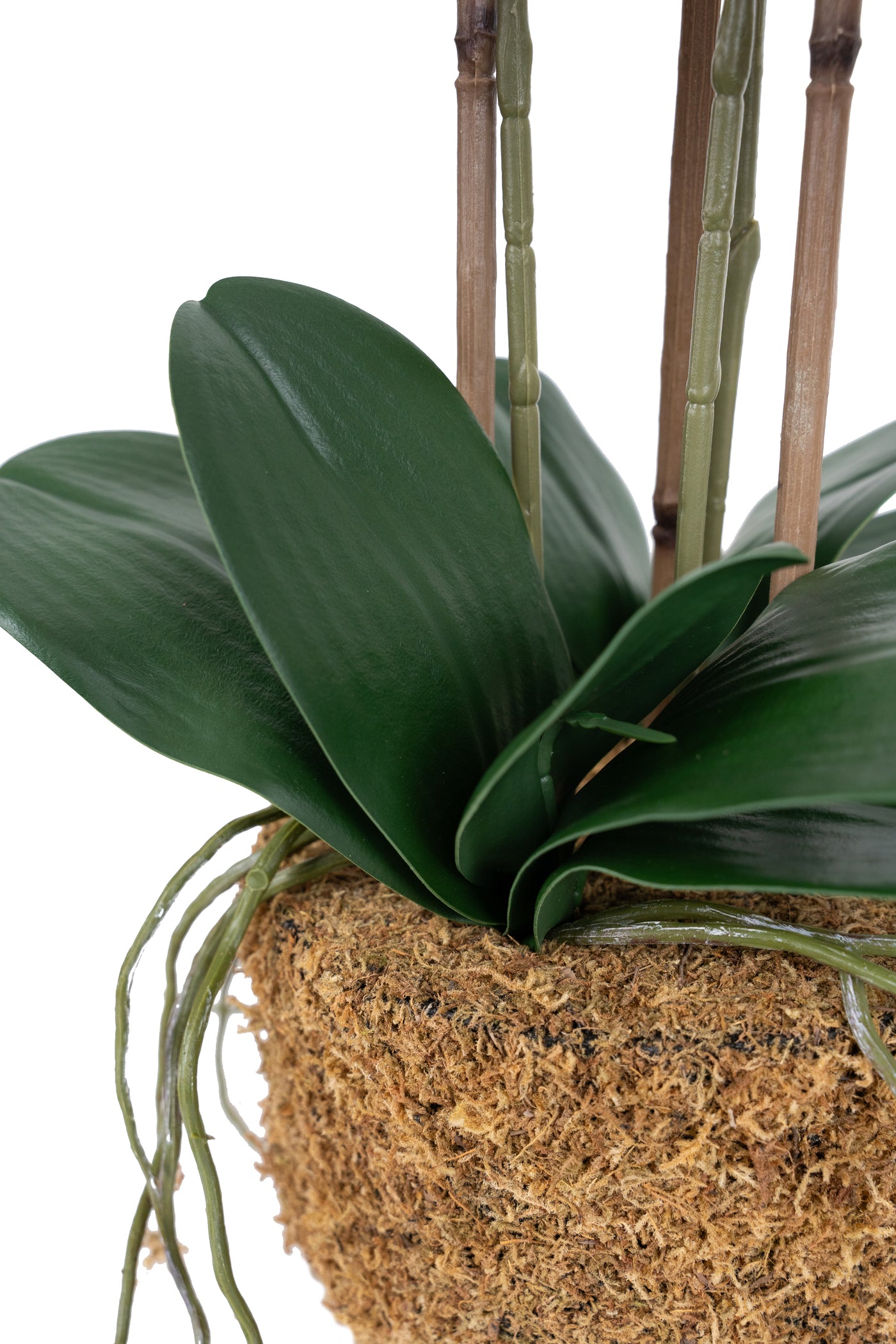 Orhidee artificiala mov cu alb si verde cu aspect natural H58 cm cu 3 tulpini