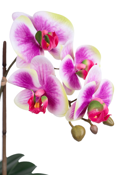 Orhidee artificiala mov cu alb si verde cu aspect natural H58 cm cu 3 tulpini