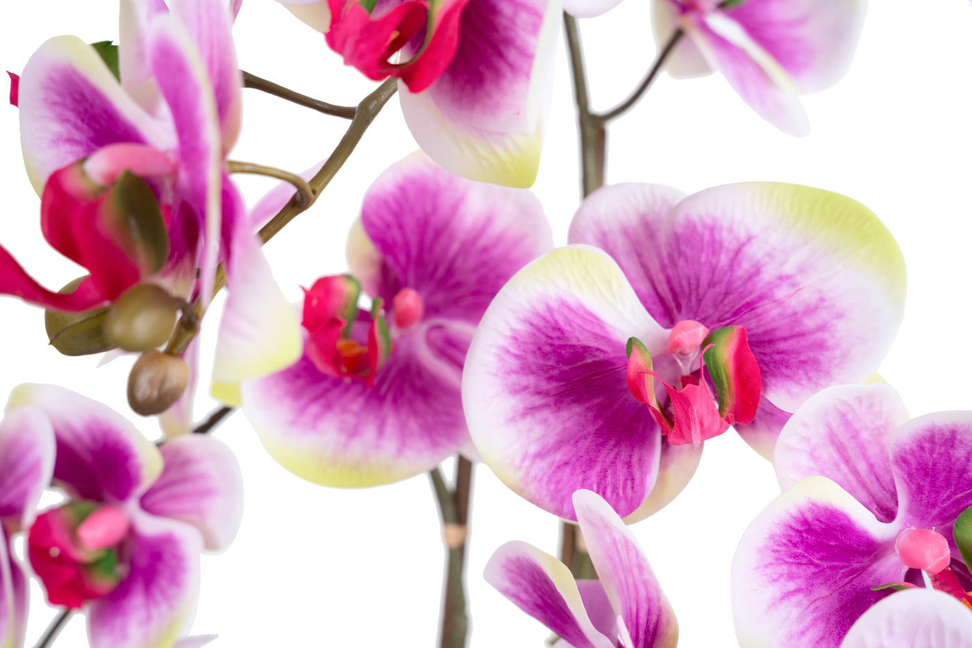 Orhidee artificiala mov cu alb si verde cu aspect natural H58 cm cu 3 tulpini