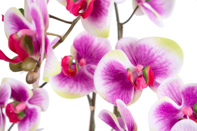 Orhidee artificiala mov cu alb si verde cu aspect natural H58 cm cu 3 tulpini