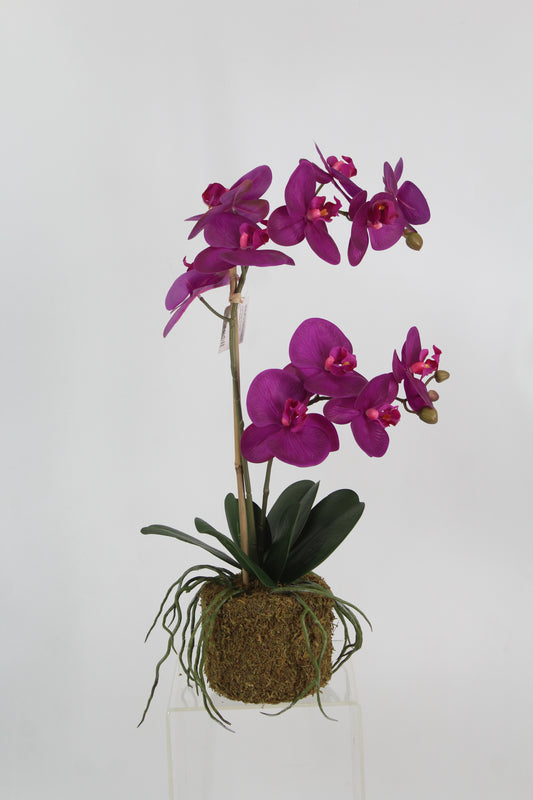 Orhidee artificiala mov cu aspect natural H56 cm cu 2 tulpini