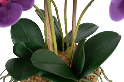 Orhidee artificiala mov cu aspect natural H59 cm cu 6 tulpini