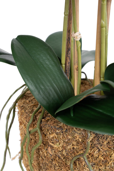 Orhidee artificiala mov cu aspect natural H62 cm cu 6 tulpini
