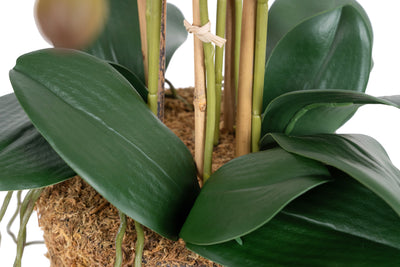 Orhidee artificiala mov cu aspect natural H62 cm cu 6 tulpini