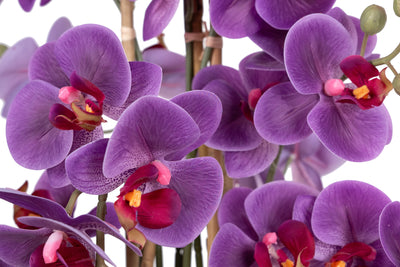 Orhidee artificiala mov cu aspect natural H68 cm cu 9 tulpini