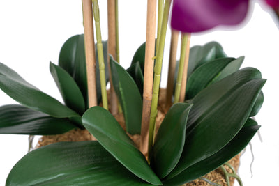 Orhidee artificiala mov cu aspect natural H76 cm cu 7 tulpini