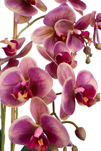 Orhidee artificiala mov cu galben cu aspect natural H64 cm cu 3 tulpini