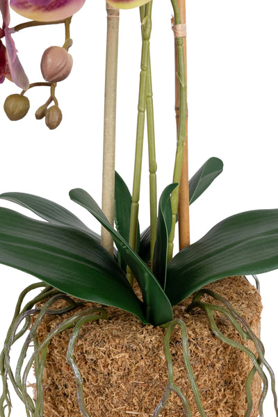 Orhidee artificiala mov cu galben cu aspect natural H64 cm cu 3 tulpini