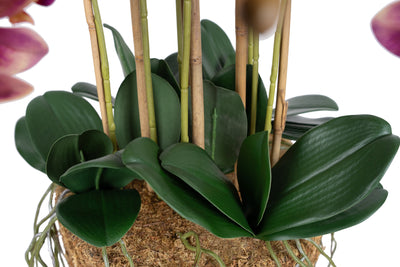 Orhidee artificiala mov cu galben cu aspect natural H85 cm cu 9 tulpini