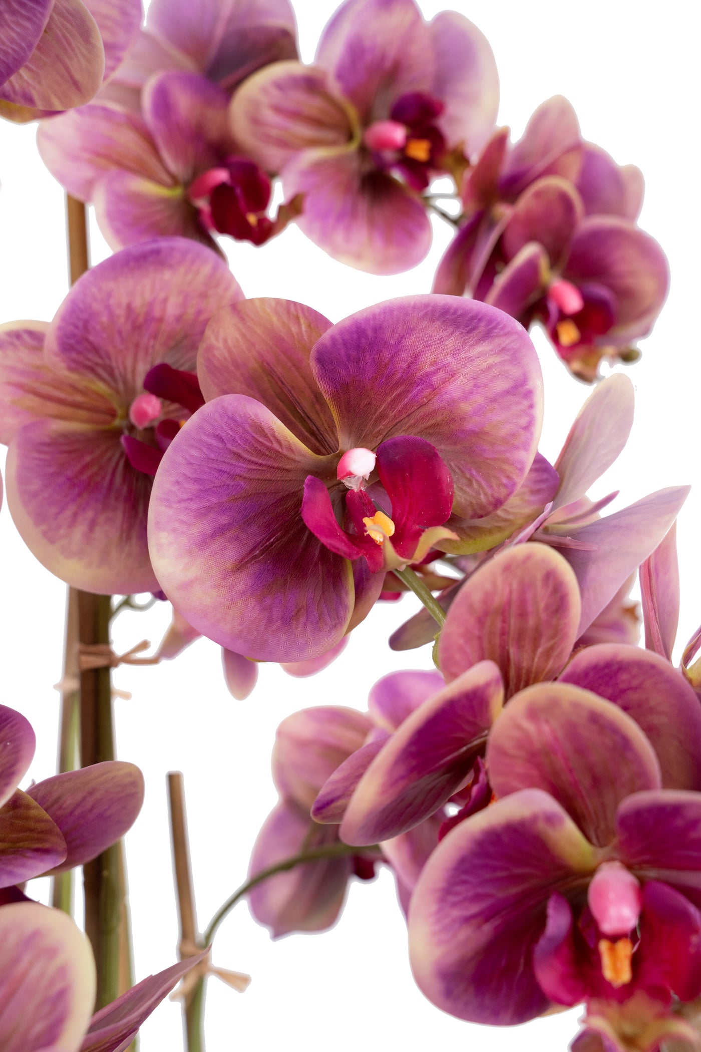 Orhidee artificiala mov cu galben cu aspect natural H85 cm cu 9 tulpini