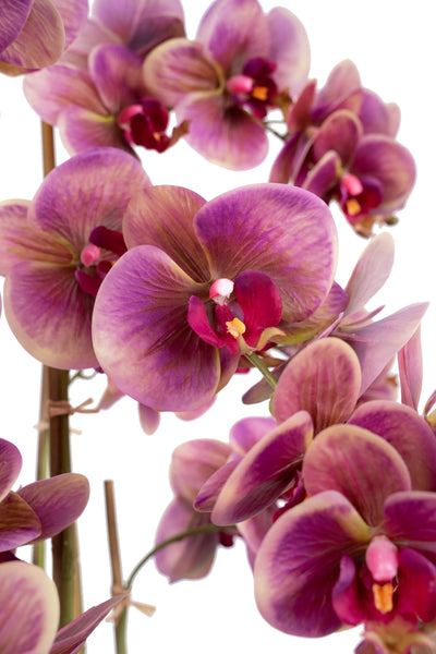 Orhidee artificiala mov cu galben cu aspect natural H85 cm cu 9 tulpini