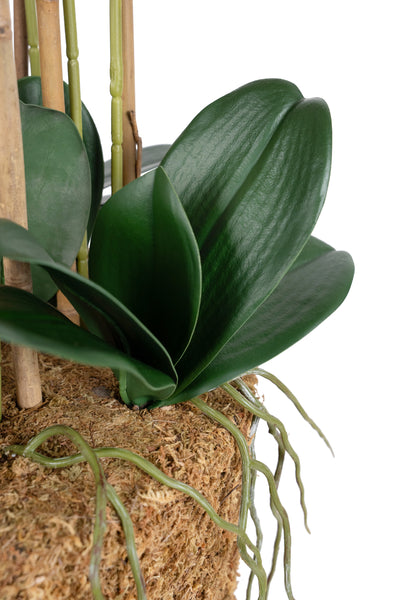 Orhidee artificiala mov cu galben cu aspect natural H85 cm cu 9 tulpini