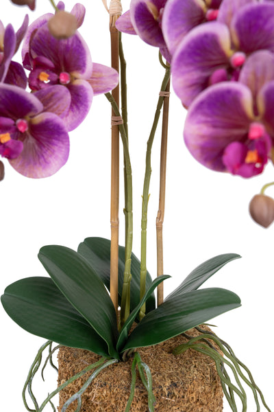 Orhidee artificiala mov cu roz cu aspect natural H55 cm cu 3 tulpini