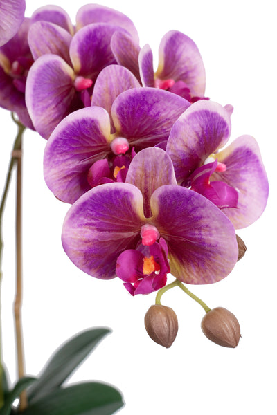 Orhidee artificiala mov cu roz cu aspect natural H55 cm cu 3 tulpini