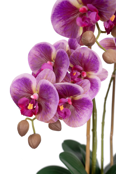 Orhidee artificiala mov cu roz cu aspect natural H55 cm cu 3 tulpini