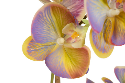 Orhidee artificiala mov cu verde cu aspect natural H46 cm cu 2 tulpini