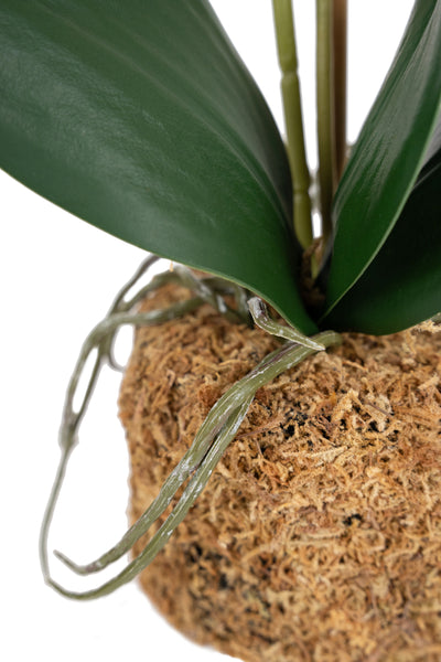 Orhidee artificiala mov cu verde cu aspect natural H46 cm cu 2 tulpini