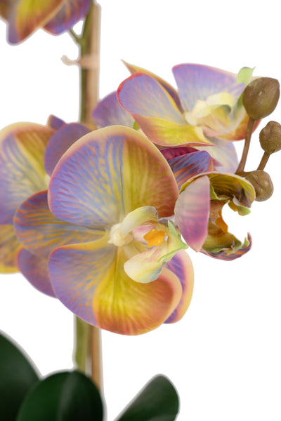 Orhidee artificiala mov cu verde cu aspect natural H46 cm cu 2 tulpini