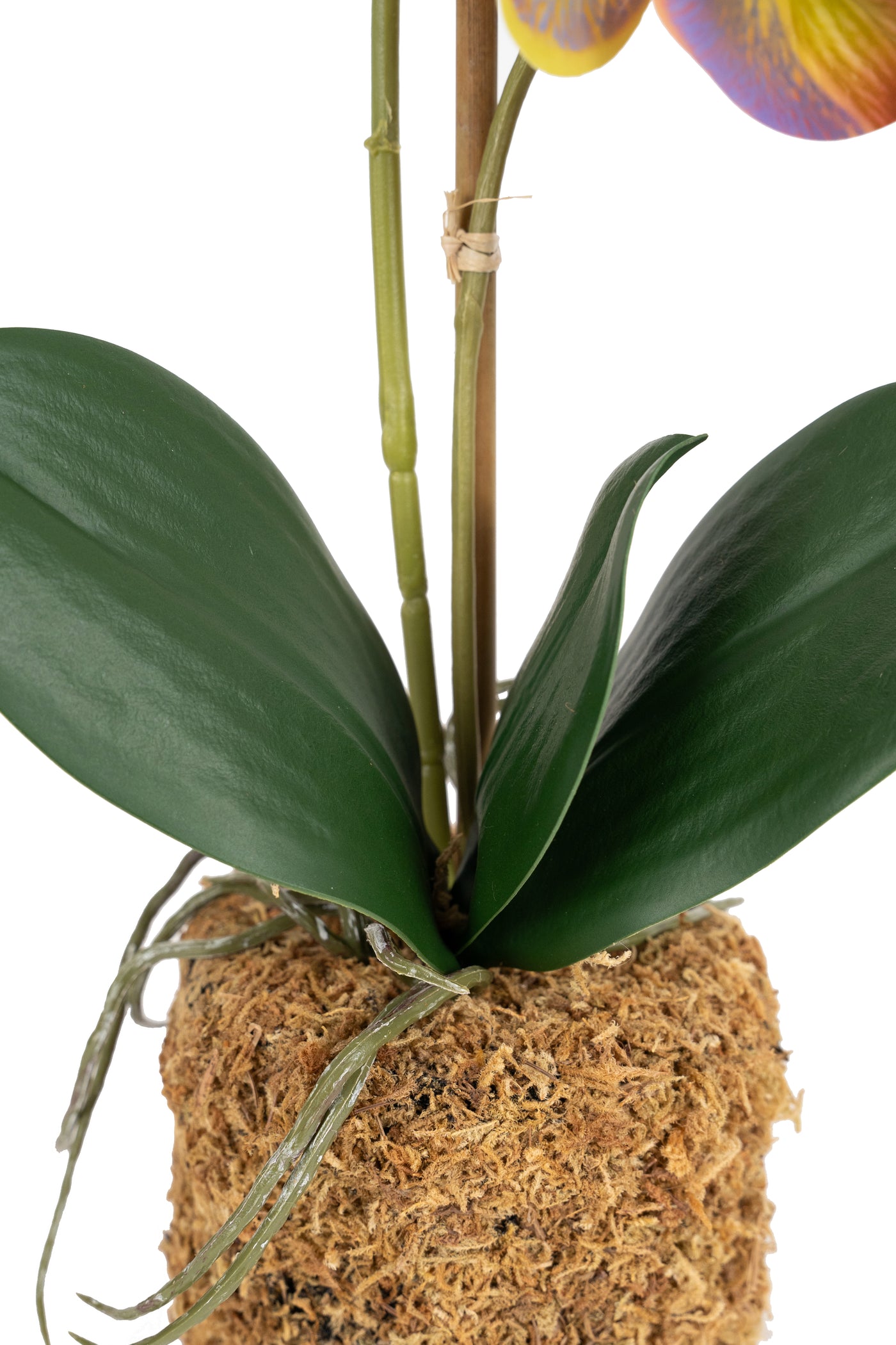 Orhidee artificiala mov cu verde cu aspect natural H46 cm cu 2 tulpini