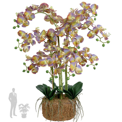 Orhidee artificiala mov cu verde cu aspect natural H80 cm cu 9 tulpini