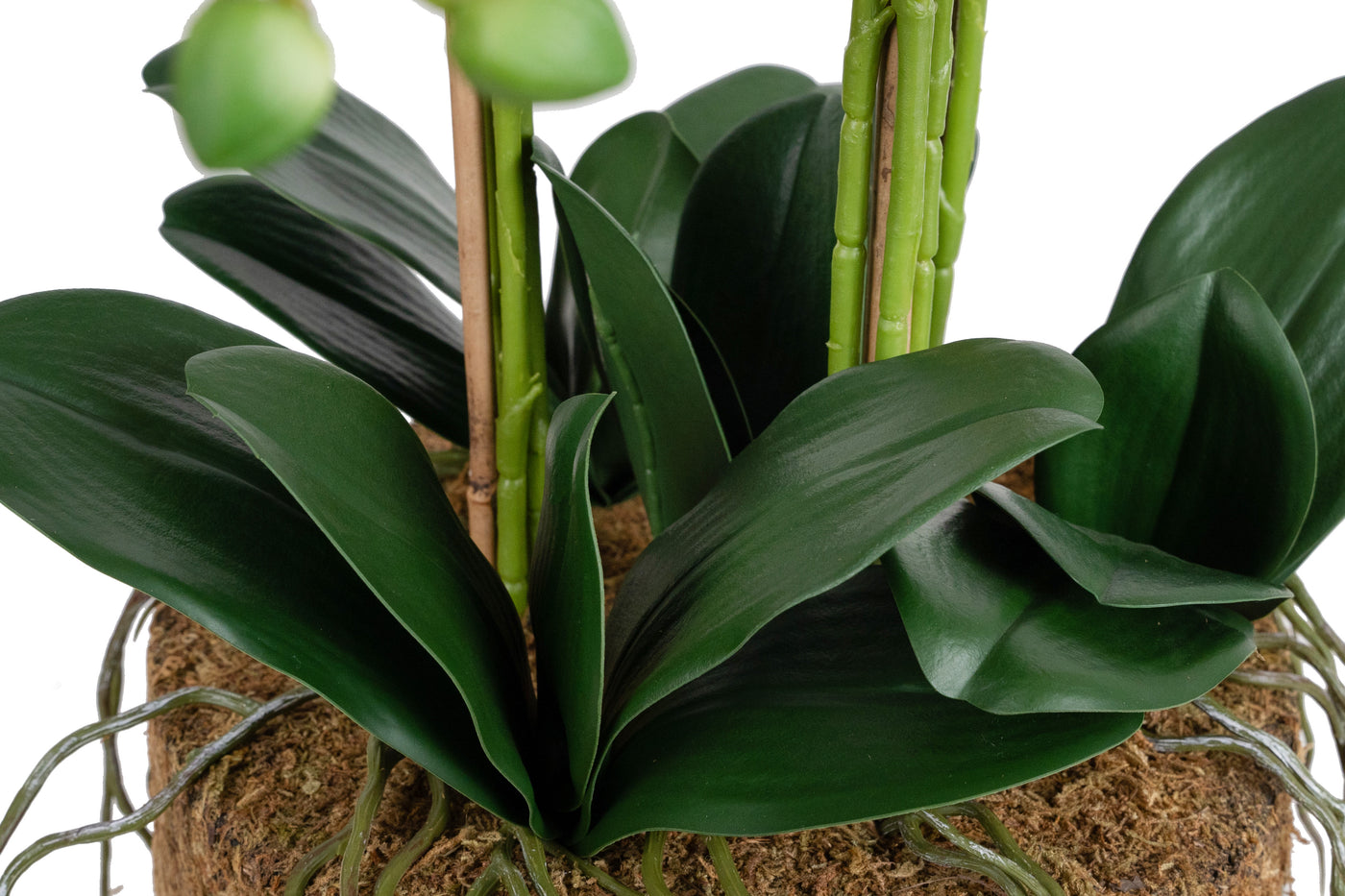 Orhidee artificiala mov cu verde cu aspect natural H80 cm cu 9 tulpini