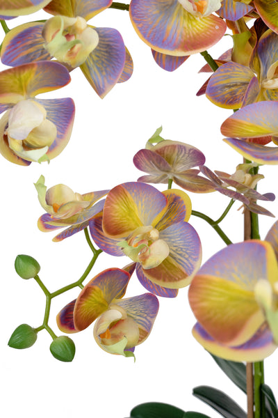 Orhidee artificiala mov cu verde cu aspect natural H80 cm cu 9 tulpini