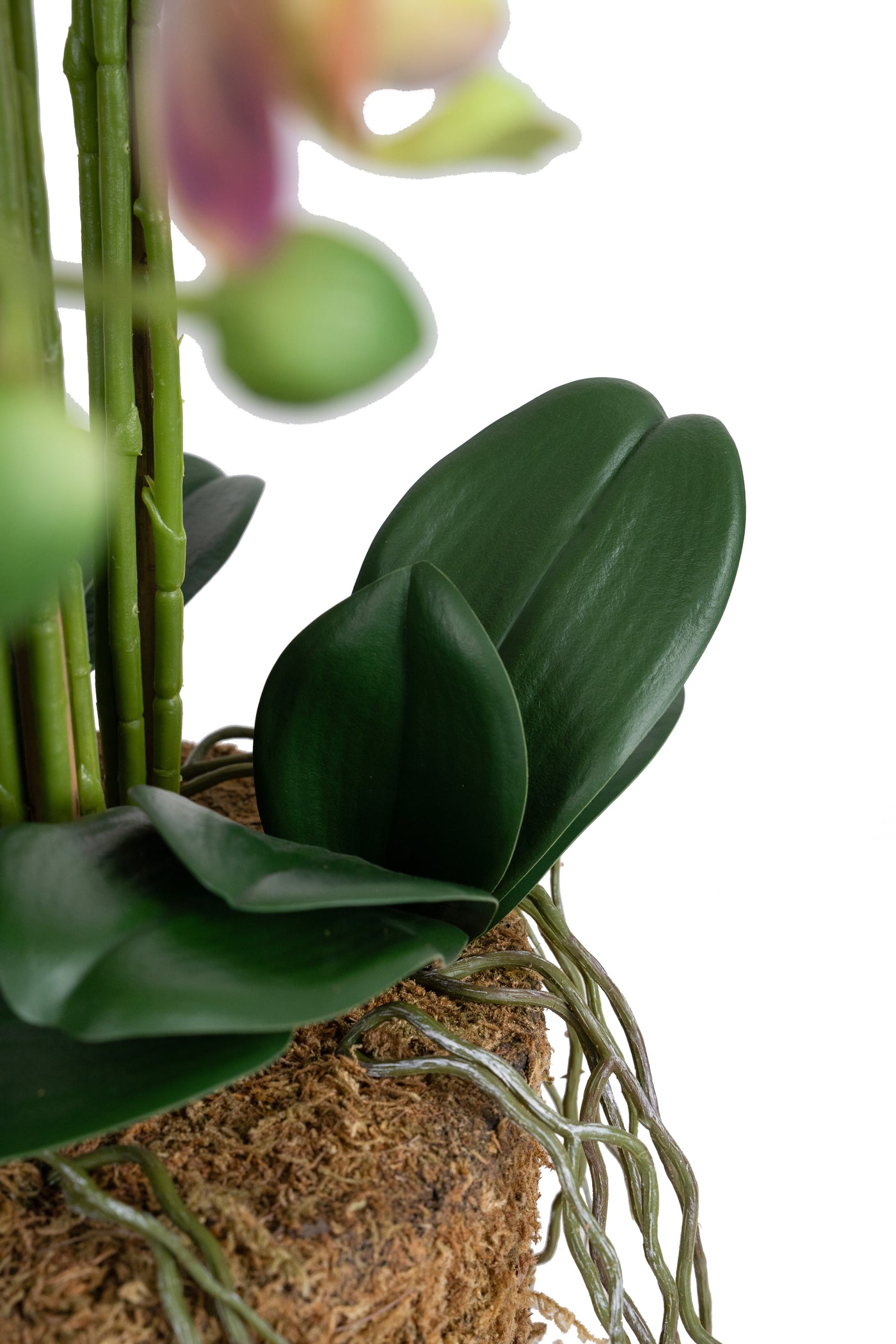 Orhidee artificiala mov cu verde cu aspect natural H80 cm cu 9 tulpini