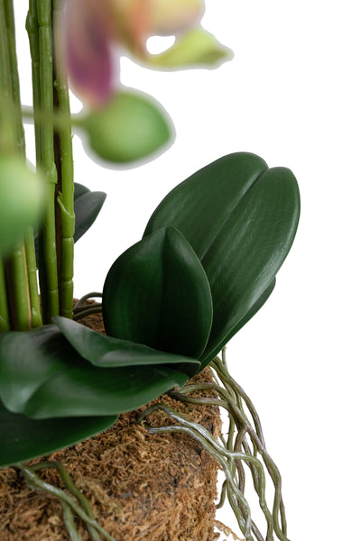 Orhidee artificiala mov cu verde cu aspect natural H80 cm cu 9 tulpini