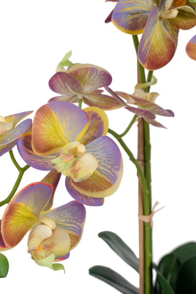 Orhidee artificiala mov cu verde cu aspect natural H80 cm cu 9 tulpini