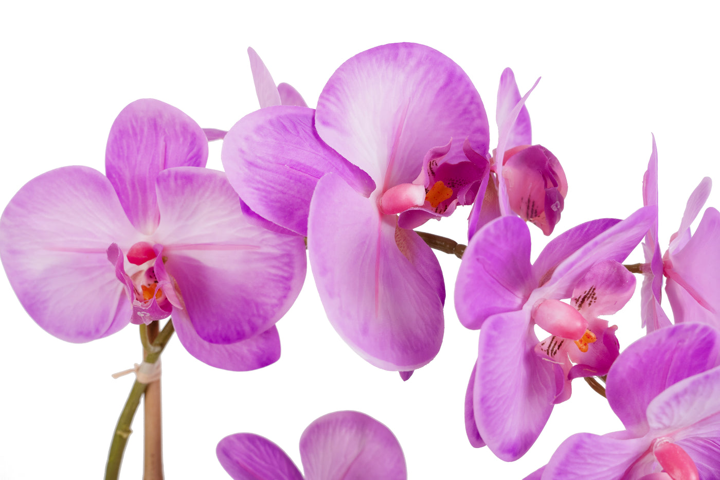 Orhidee artificiala mov deschis cu aspect natural H58 cm cu 2 tulpini