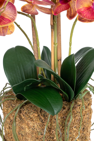 Orhidee artificiala mov deschis cu aspect natural H59 cm cu 6 tulpini