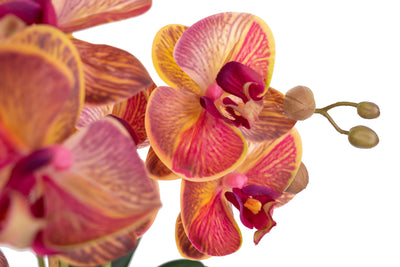 Orhidee artificiala mov deschis cu aspect natural H59 cm cu 6 tulpini