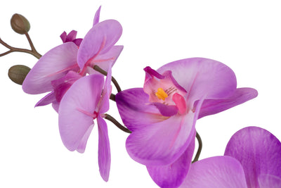 Orhidee artificiala mov deschis cu aspect natural H70 cm cu 7 tulpini