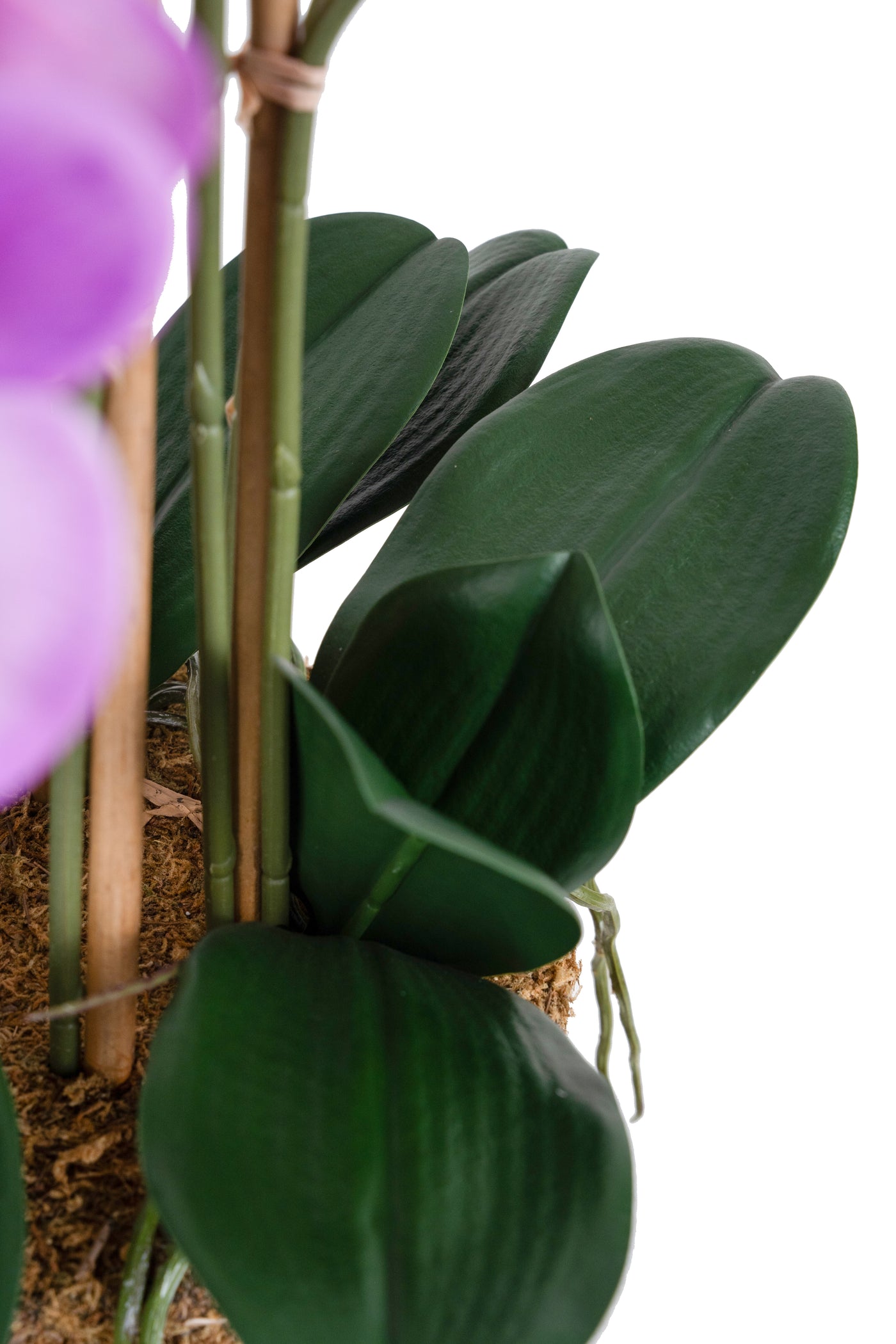 Orhidee artificiala mov deschis cu aspect natural H70 cm cu 7 tulpini