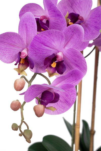 Orhidee artificiala mov intens cu aspect natural H61 cm cu 3 tulpini