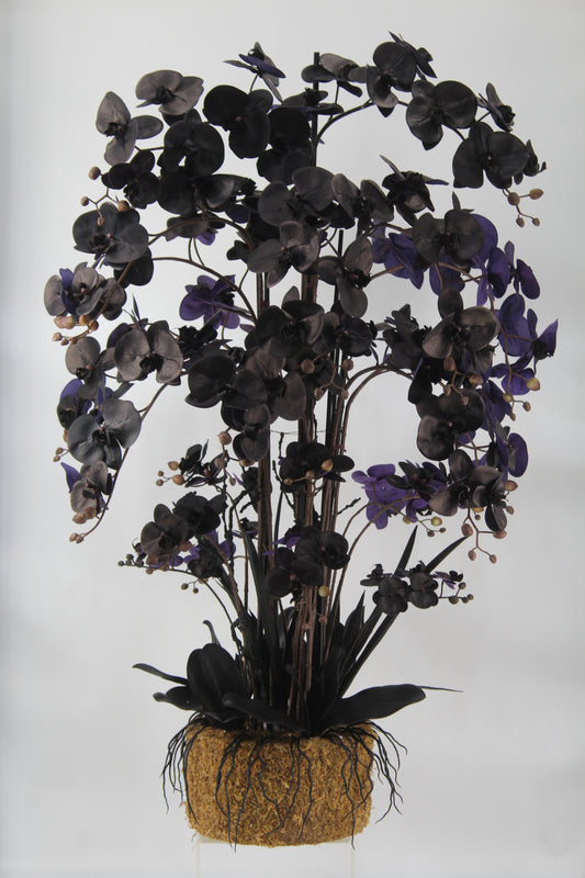 Orhidee artificiala neagra cu aspect natural H120 cm cu 21 tulpini