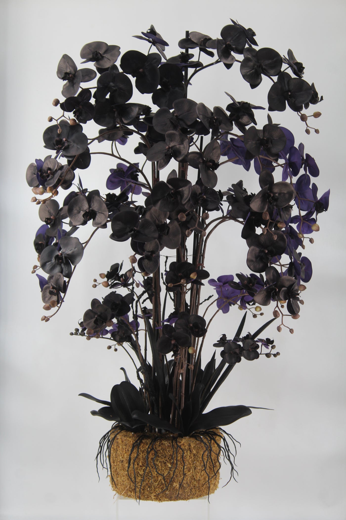 Orhidee artificiala neagra cu aspect natural H120 cm cu 21 tulpini