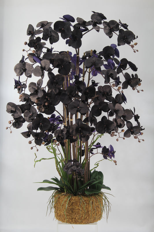 Orhidee artificiala neagra cu aspect natural H120 cm cu 21 tulpini