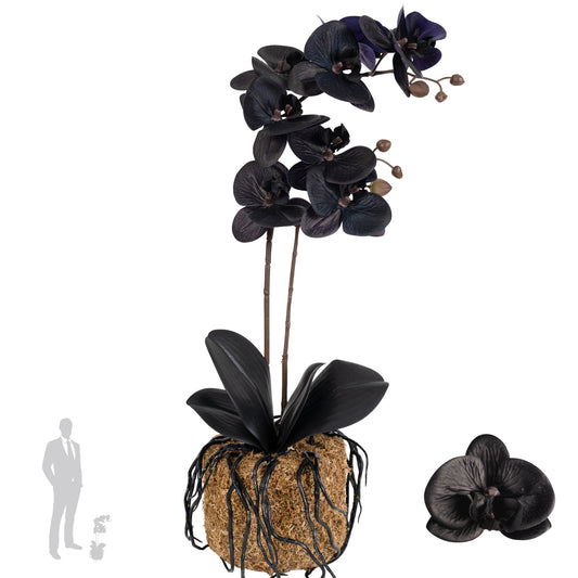Orhidee artificiala neagra cu aspect natural H51 cm cu 2 tulpini