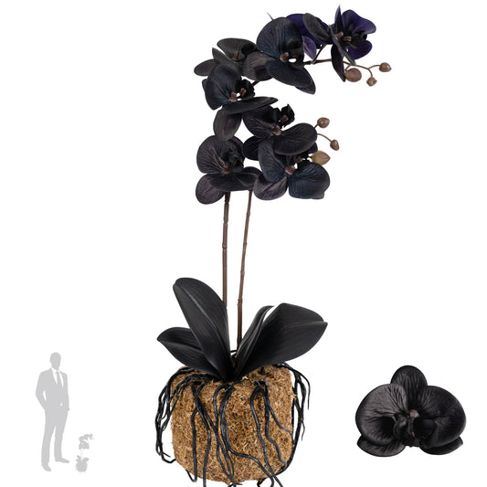 Orhidee artificiala neagra cu aspect natural H51 cm cu 2 tulpini