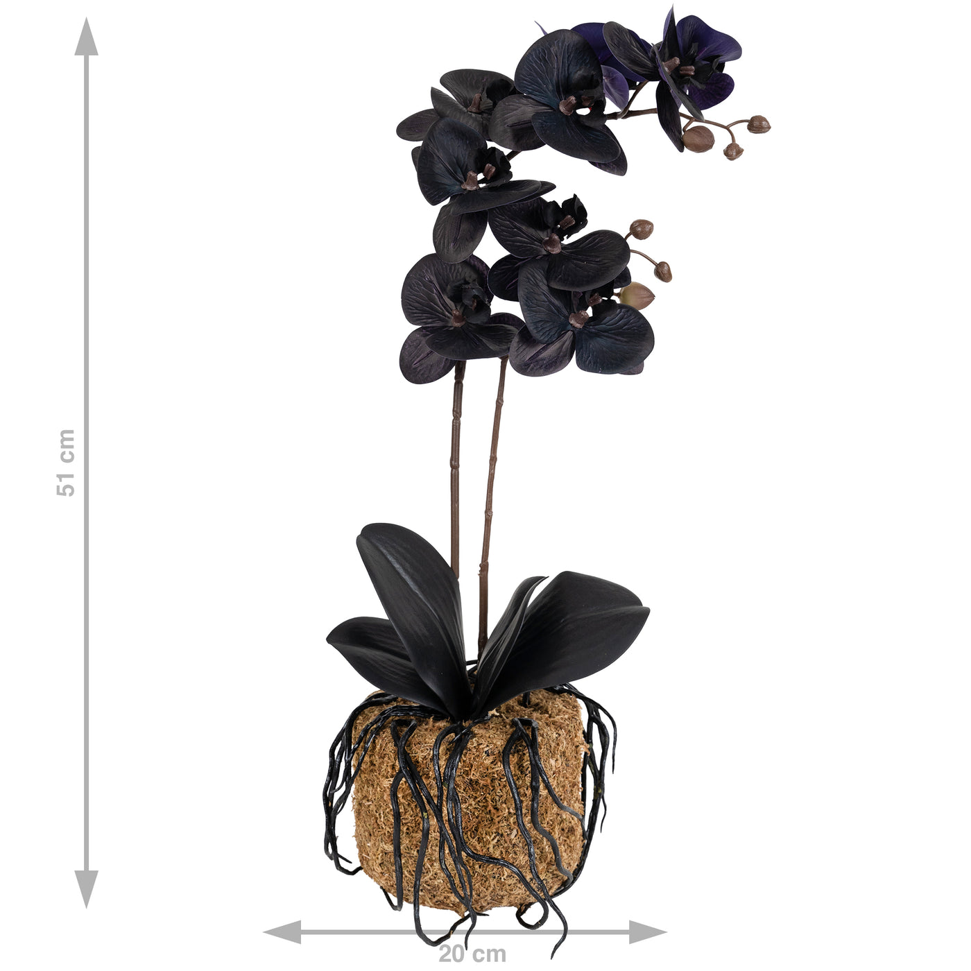 Orhidee artificiala neagra cu aspect natural H51 cm cu 2 tulpini